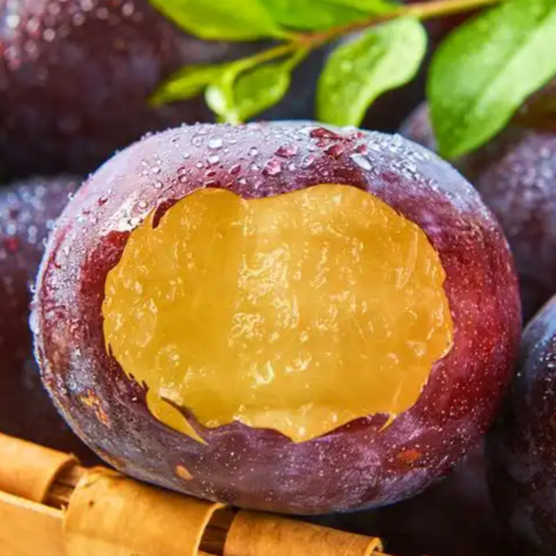 李子树苗嫁接李子树苗大果黑霸王脱骨李子苗种植盆栽地栽庭院种植