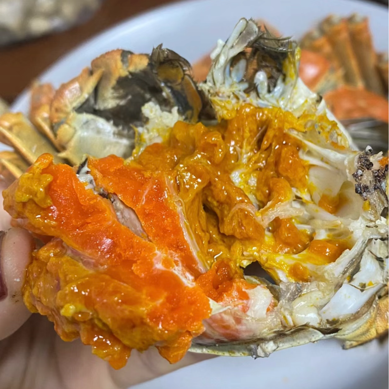 【母蟹2.9-3.2两 顺丰】鲜活大闸蟹 全母8只装 死蟹/无黄包赔