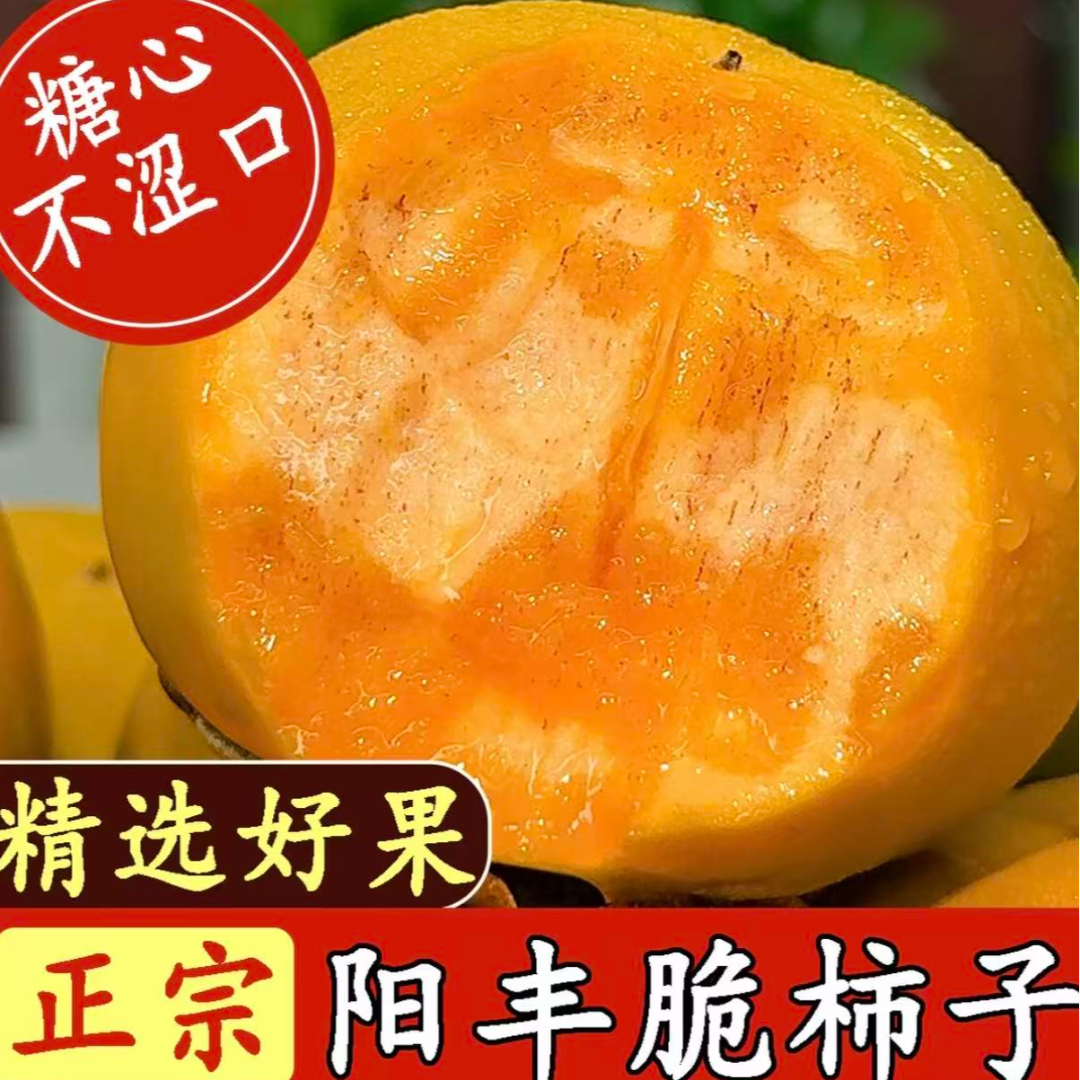 4正宗阳丰巧克力脆柿新鲜纯甜不涩口无核无籽现摘现发彩箱发货