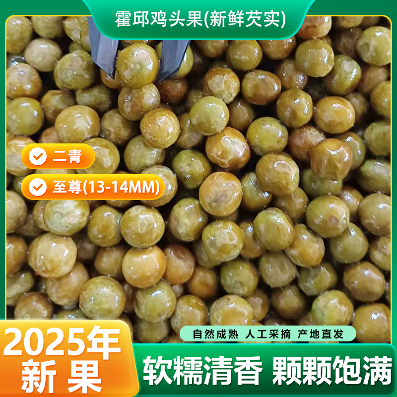 2025年新鲜出湖安徽霍邱正宗至尊鸡头果新鲜芡实带壳打磨不苦不涩