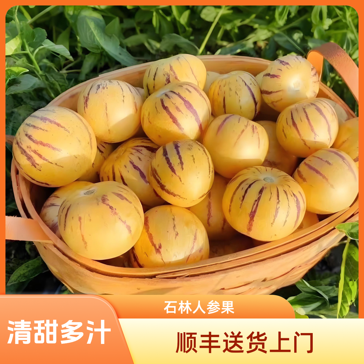 LP【顺丰包邮】云南石林树熟人参果清甜多汁皮薄应季双11好礼现发