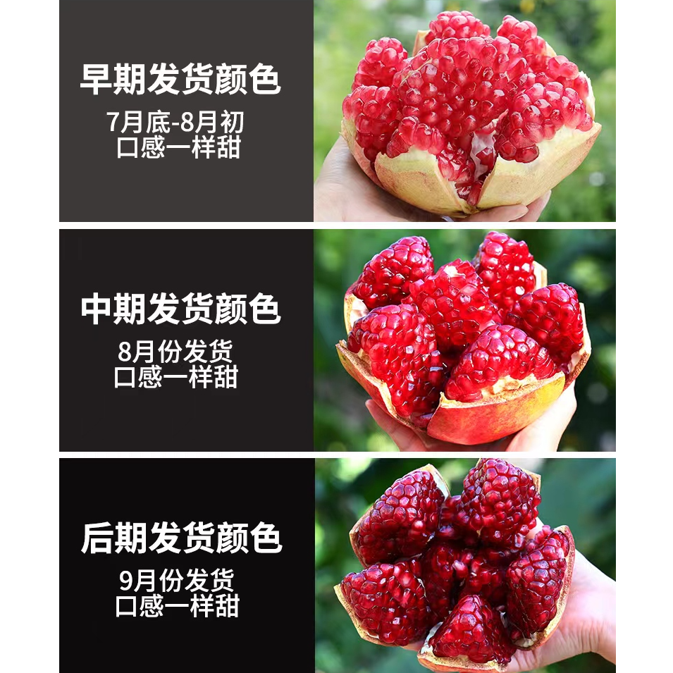【传诚果业】四川会理突尼斯软籽石榴5斤 单果300g起 东三省可发