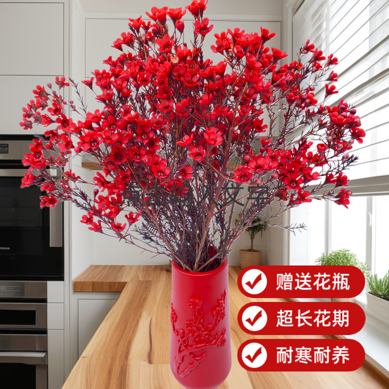 澳洲腊梅+赠送花瓶 鲜花好品质新鲜花（零度以下地区请加拍保温棉）