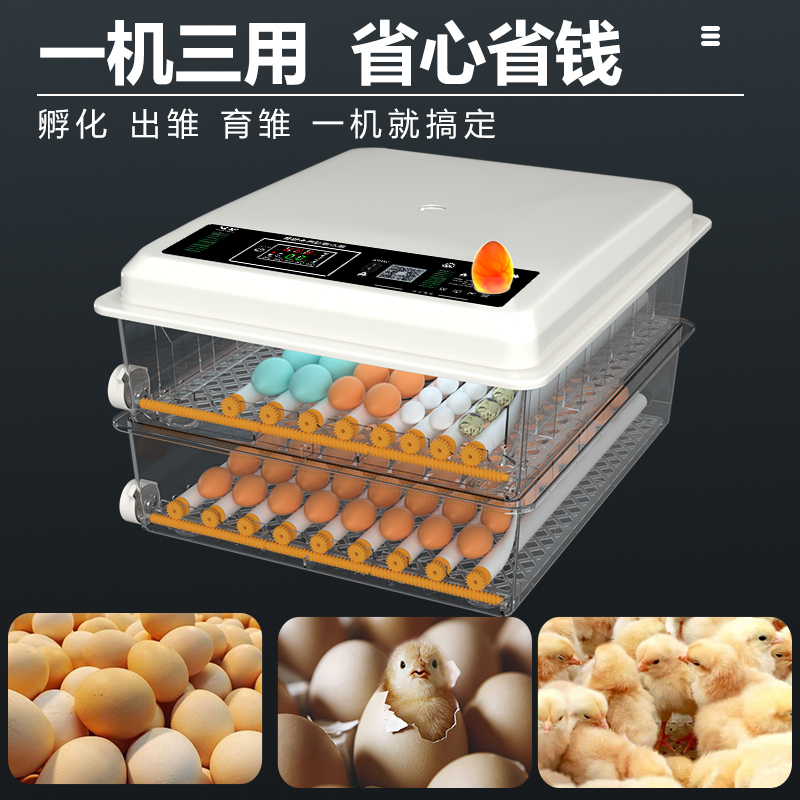 新伟达小型家用全自动智能孵化器鸡鸭鹅鸽子芦丁鸡孵蛋孵化箱