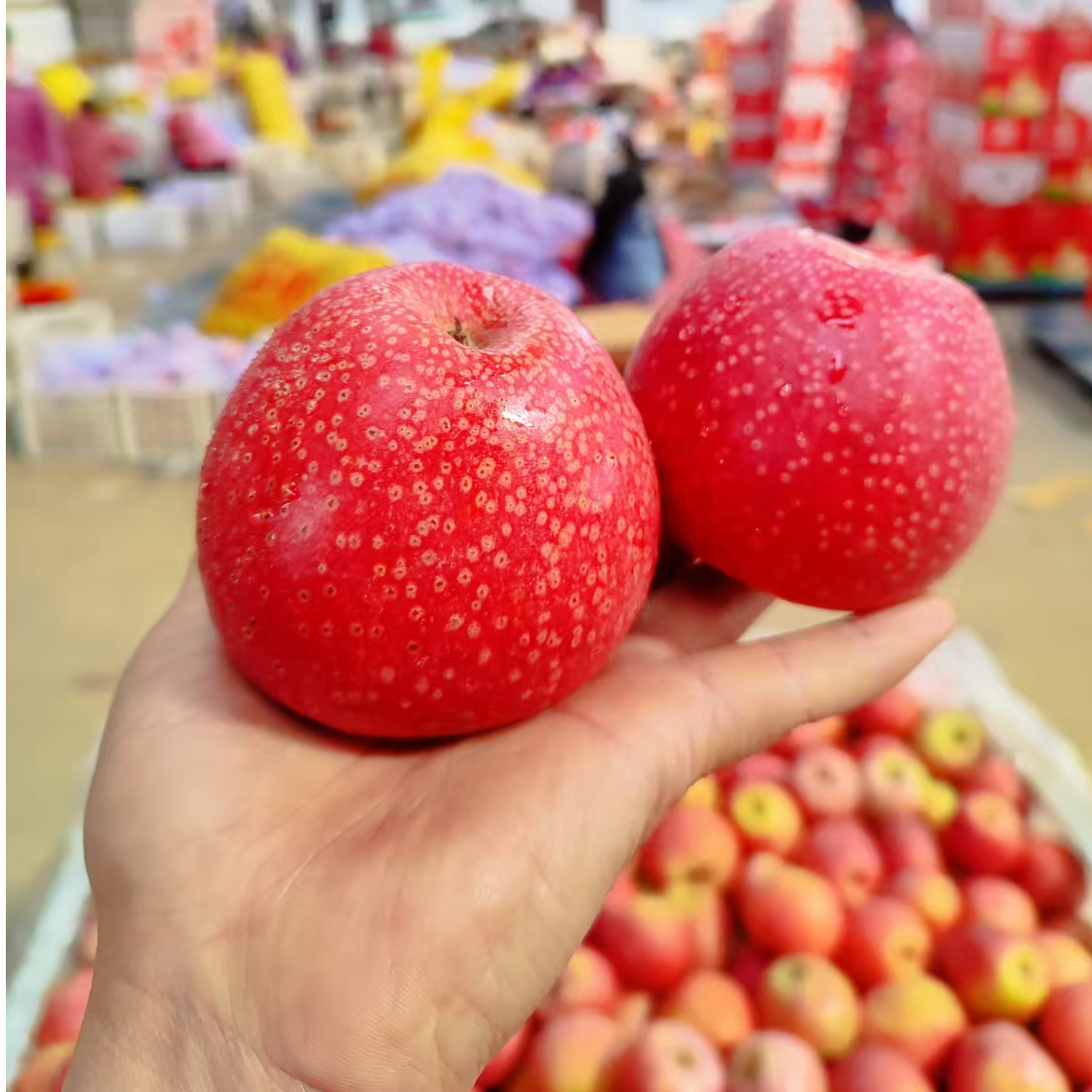 【粉面甜】陕西秦冠苹果粉面80%红度粉面甜老人宝宝刮泥5斤9斤包邮