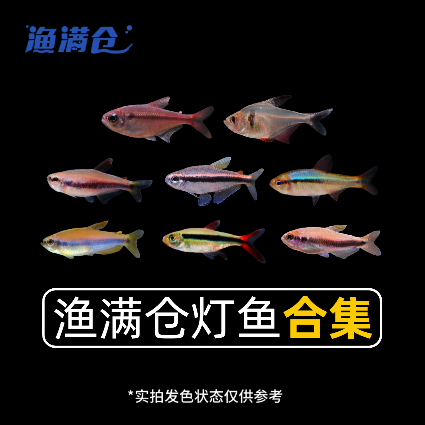 【渔满仓小鱼】灯鱼菜单随心配 满29包邮集邮捡漏链接