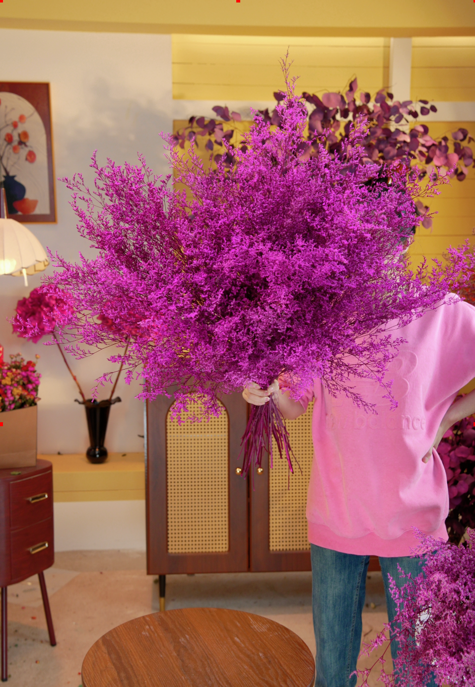 澳洲小众花材【菠萝尼亚情人草】