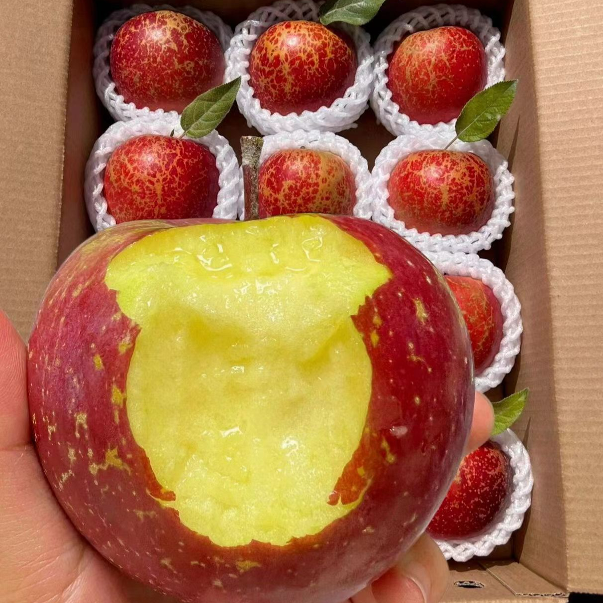 【正宗】云南昭通冰糖心丑苹果脆甜爆汁新鲜现摘现发当季水果热卖