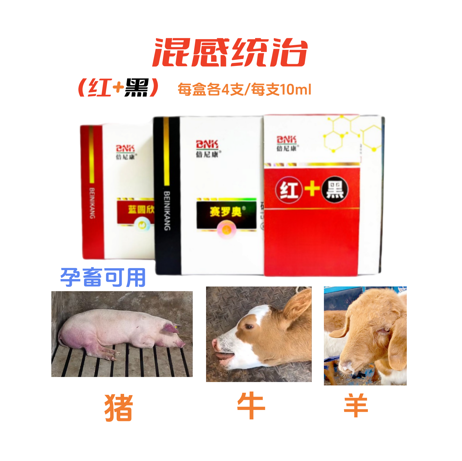 【红加黑】猪牛羊高热混感不吃喘母猪产前产后不吃孕畜可用养殖场用