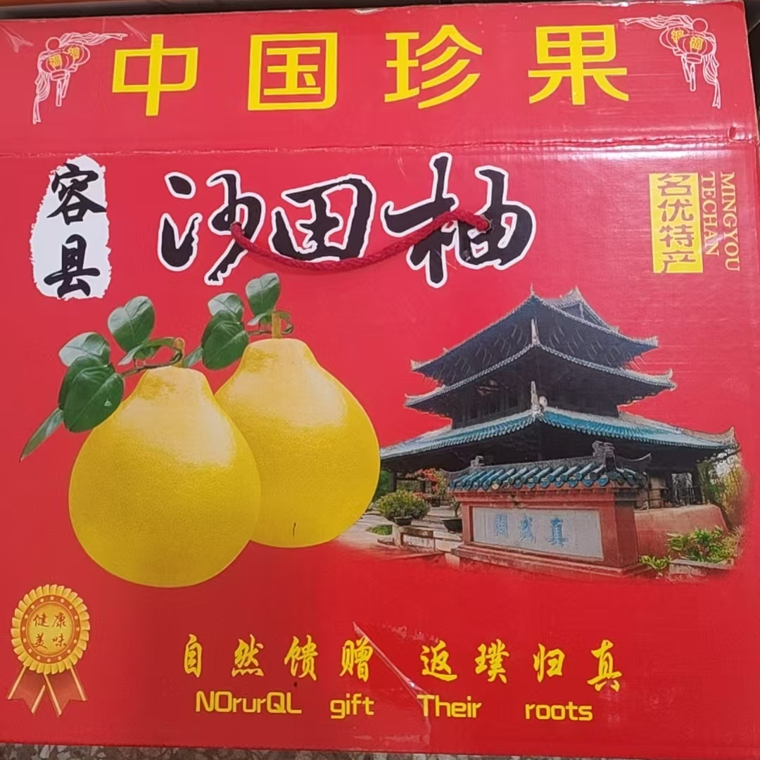 （礼盒装）正宗容县沙田柚精品山顶老树果