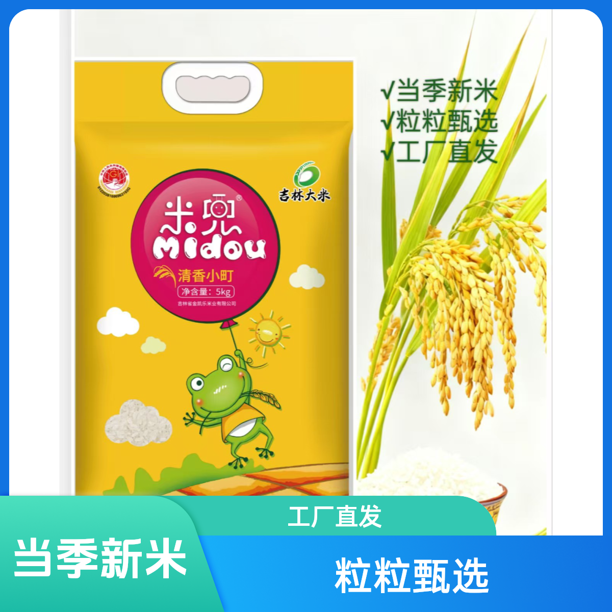 米兜-清香小町大米（真空）（黄）5kg