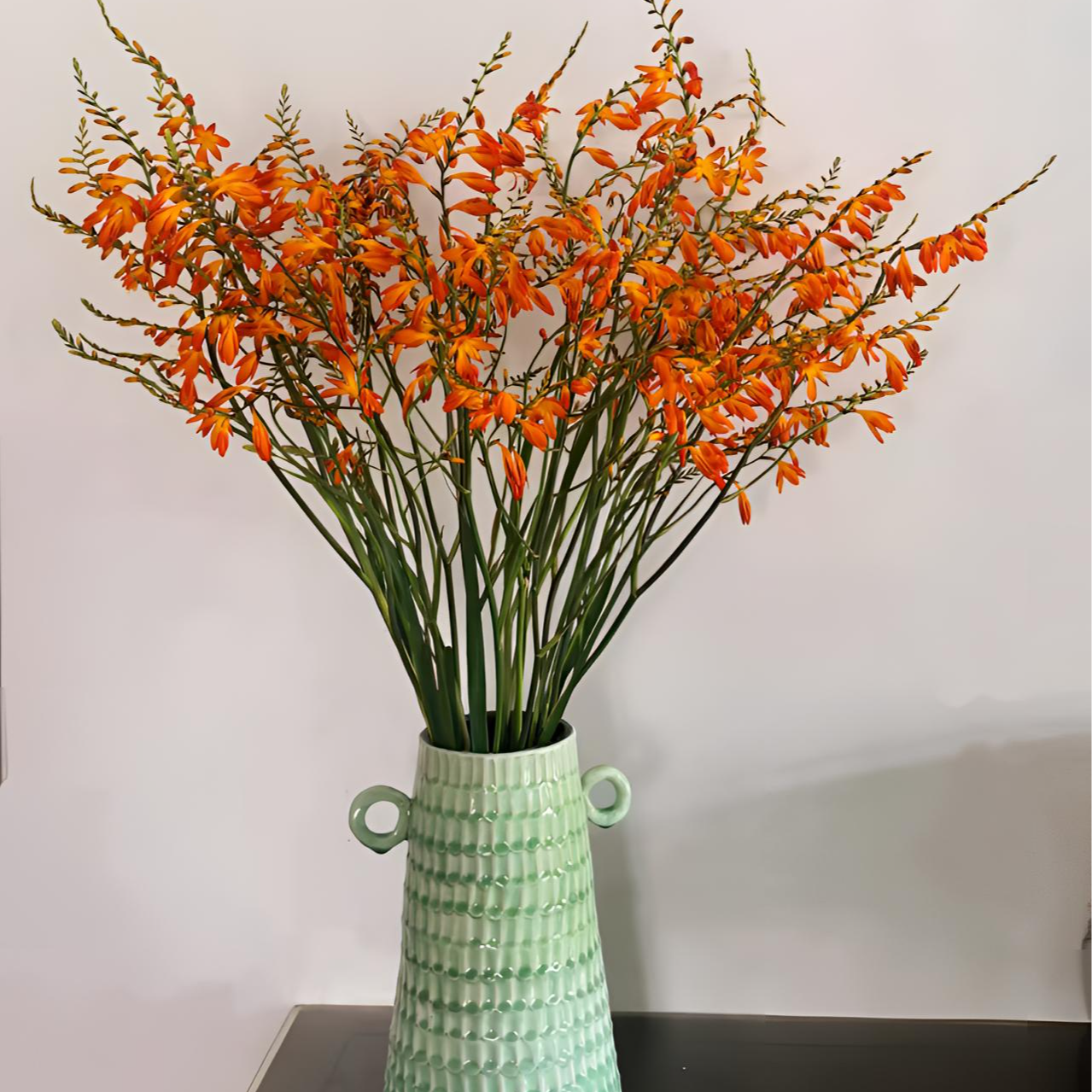 花植语【火焰兰】飞舞的蝴蝶  高品质花期长 云南直发耐养鲜花家居