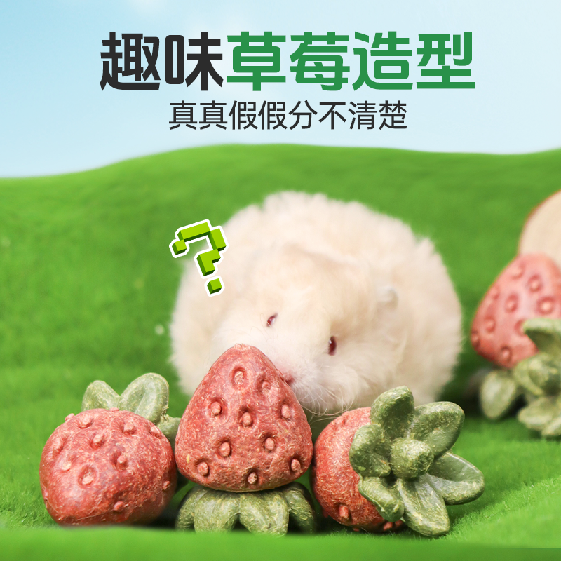 TEEWY/萃微益【亚马逊同款】草莓仓鼠磨牙造景躲避屋金丝熊龙猫豚鼠