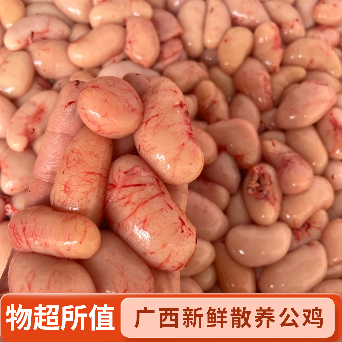 （外省专拍)(到手包新鲜)广西新鲜散养公鸡蛋、鸡腰子批发冷链包邮