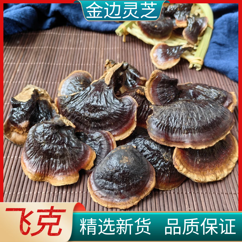 正宗金边灵芝新货赤灵芝金边灵芝片不苦自然晒干无硫滋补煲汤泡酒
