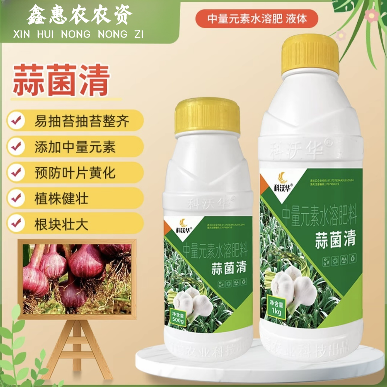 蒜菌清大蒜专用微生物菌剂养根生根补充营养黄叶干尖抽苔水溶肥料