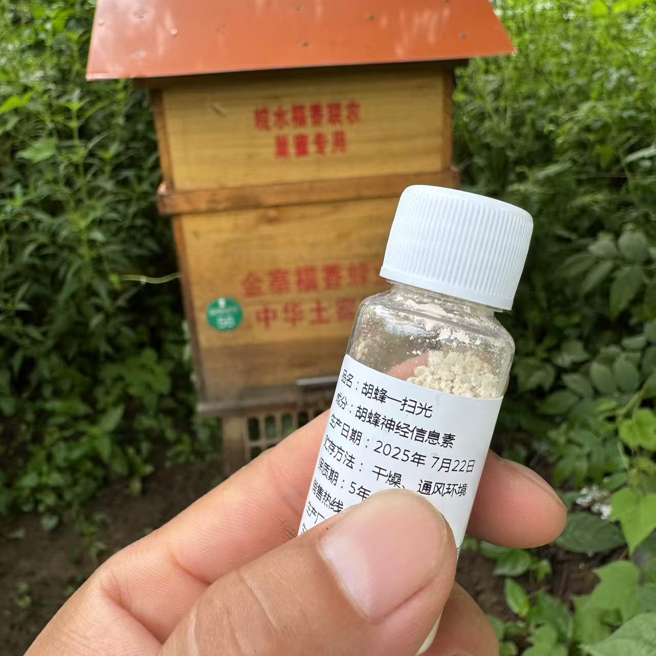 小蜜蜂专用胡蜂一扫光有效去除胡蜂困扰