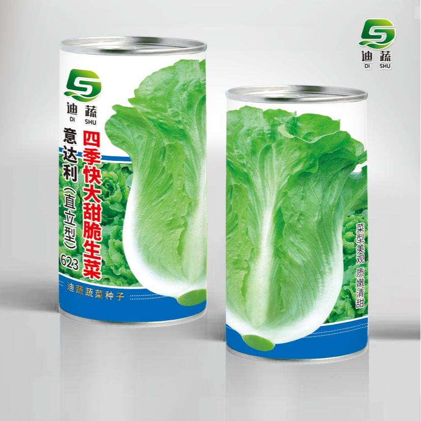 生菜种子623意达利直立性甜脆生菜种子罐装