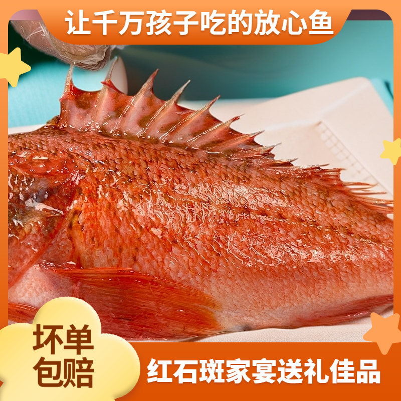 福建红石斑石九公黑腹鲉鱼虎头斑海鲜水产美味顺丰包邮