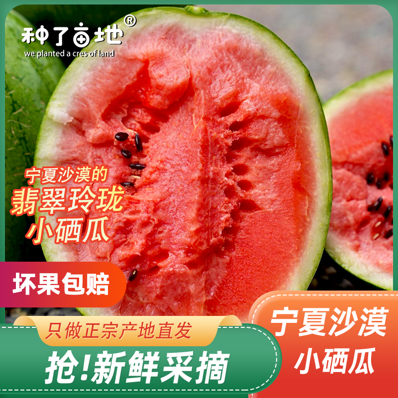 【京东快递】宁夏沙漠翡翠玲珑小西瓜沙地干旱高甜爆汁