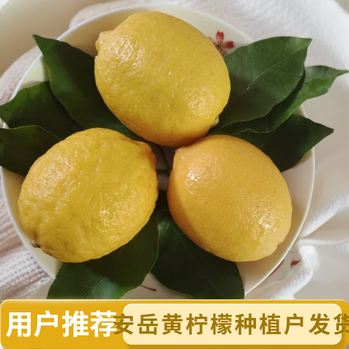 四川安岳黄柠檬鲜柠檬新鲜鲜果，皮薄肉嫩，香郁多汁，酸爽味浓！