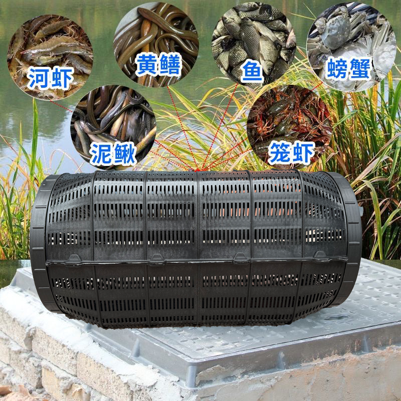 【新款加大号】大号鱼笼捕鱼神器鱼网河鱼虾笼倒须笼专用黄鳝泥鳅笼