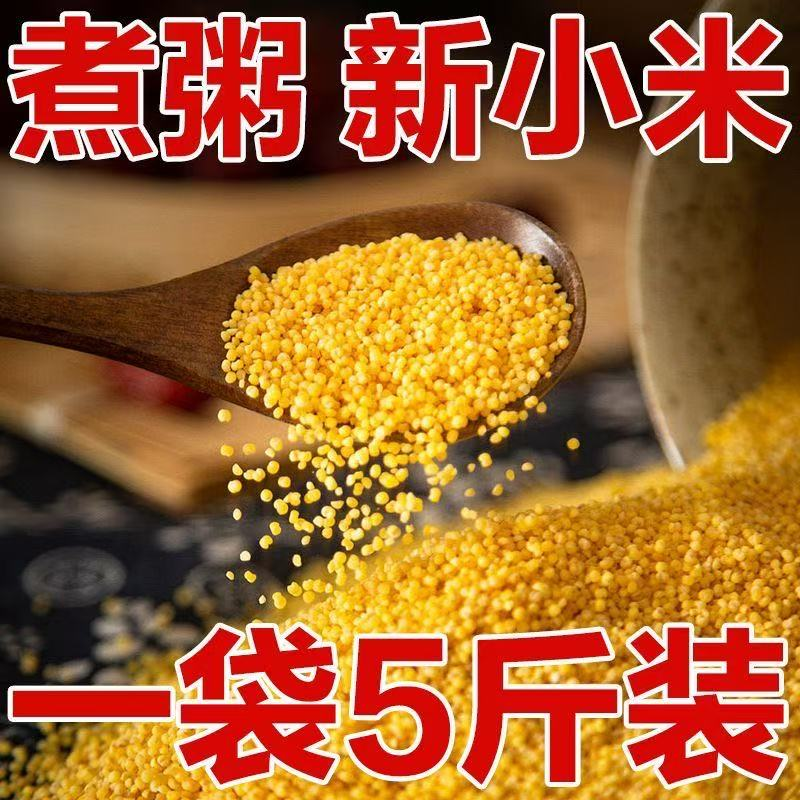 【5斤】农家新鲜黄小米熬粥米油丰富的优质五谷杂粮D