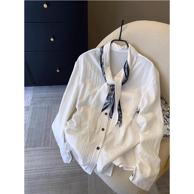 好听鸭老钱风白色衬衫女秋季新设计感高级长袖衬衣法式遮肚子上衣