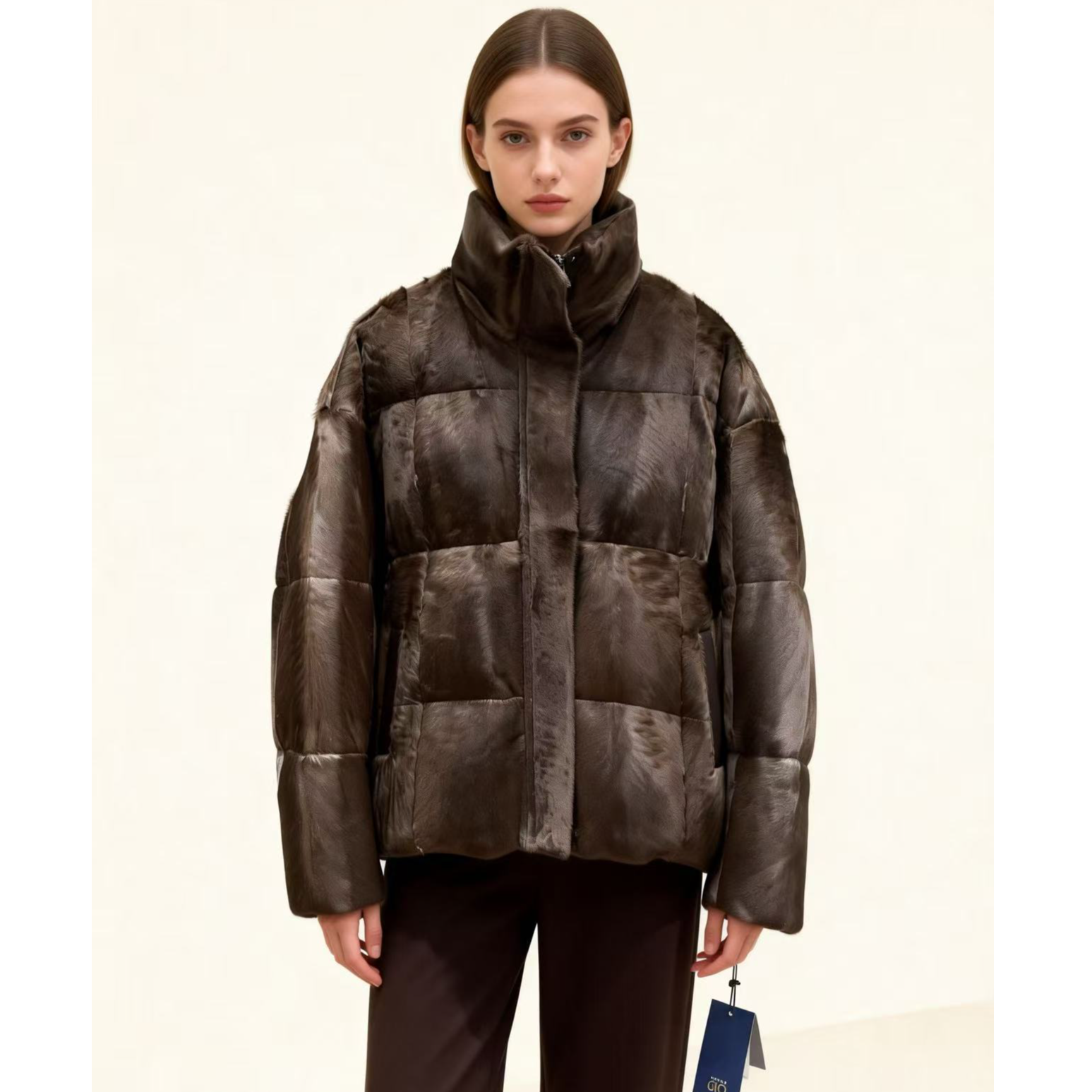 棕色 立领 短款鹅绒服外套  WT1123