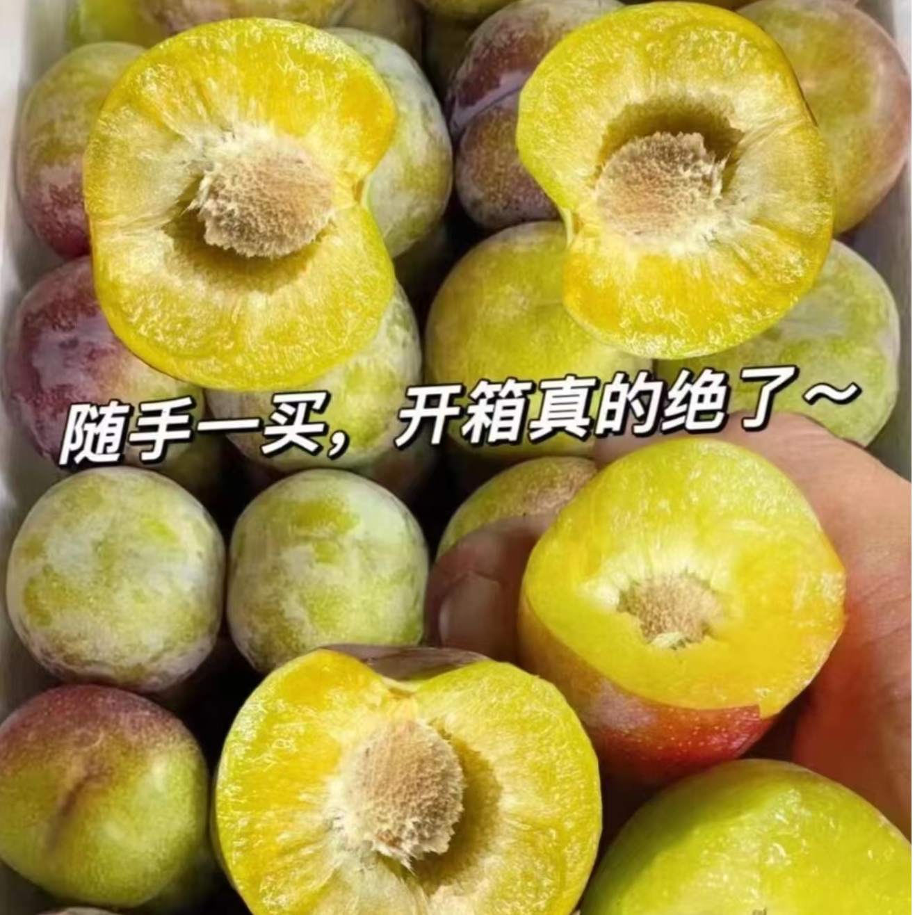 四川正宗脆红李小脆红新鲜水果脆甜多汁
