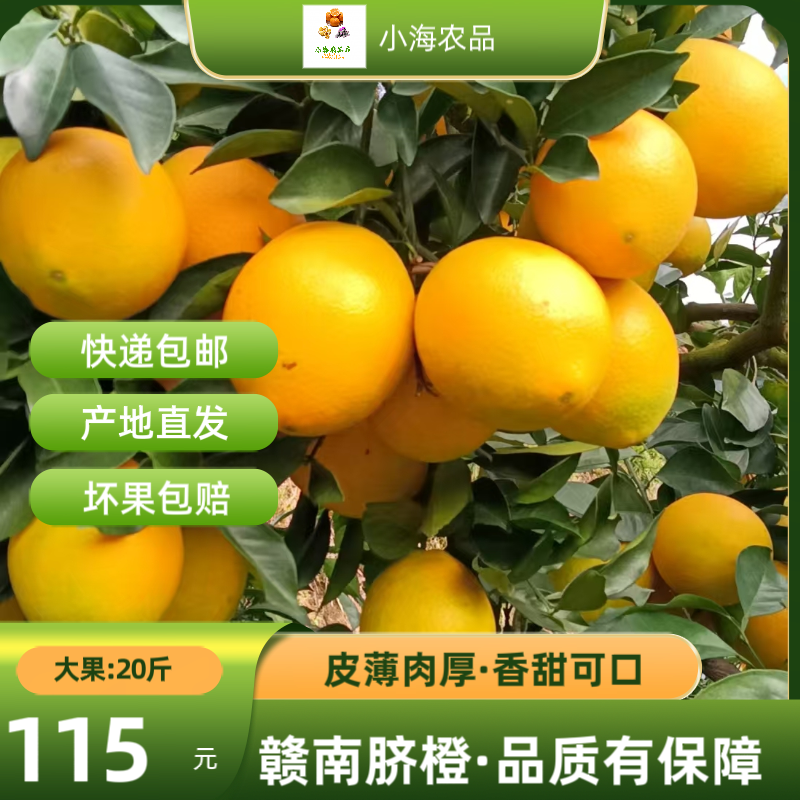 正宗赣南脐橙新鲜现摘爆甜多汁孕妇水果产地直供橙子江西赣南中方
