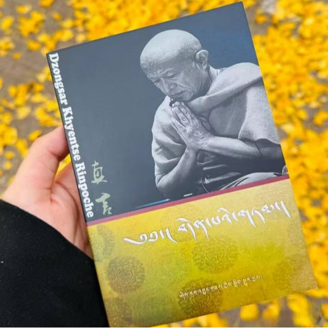 现货 藏汉双语真言宗萨仁波切著作八万四千问 小红书爆款经典语录
