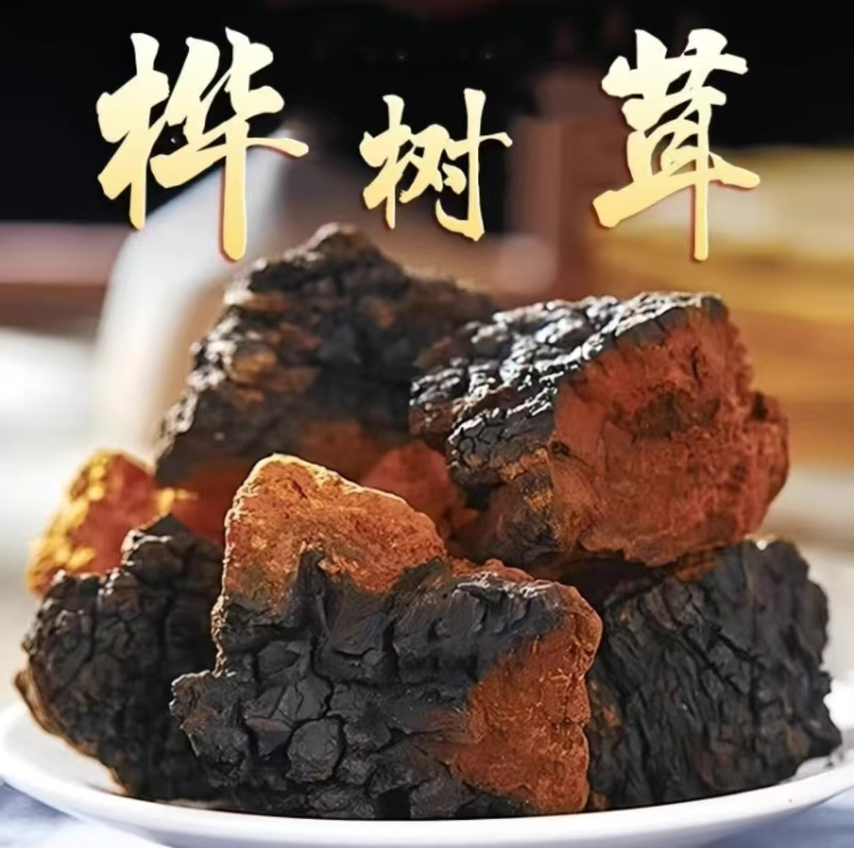 霍哥滋补 【桦树茸】