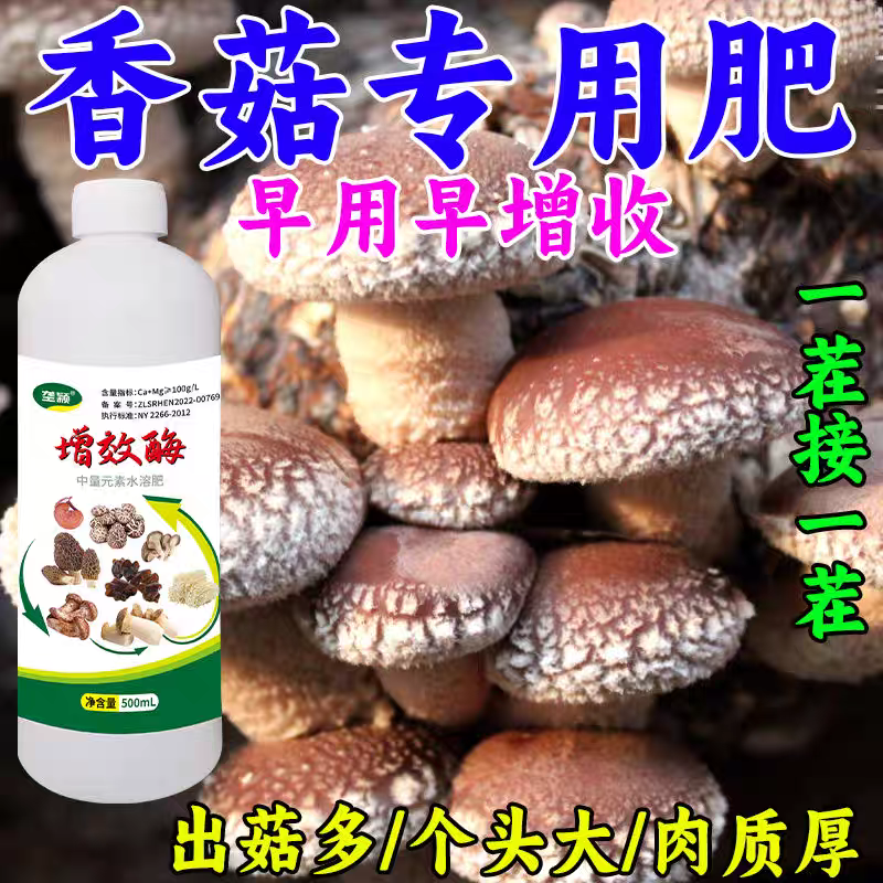 香菇增产肥增效酶香菇菌棒营养液强力催菇王促菇猛长肉厚专用肥料