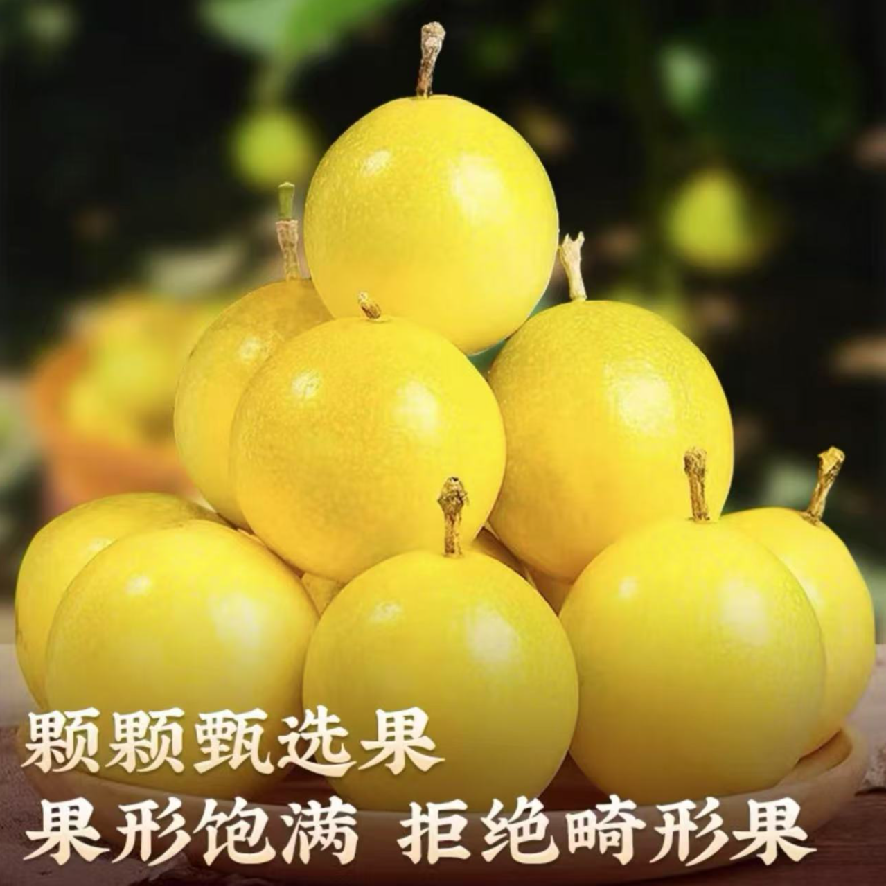 新鲜现摘百香果香甜多汁当季水果