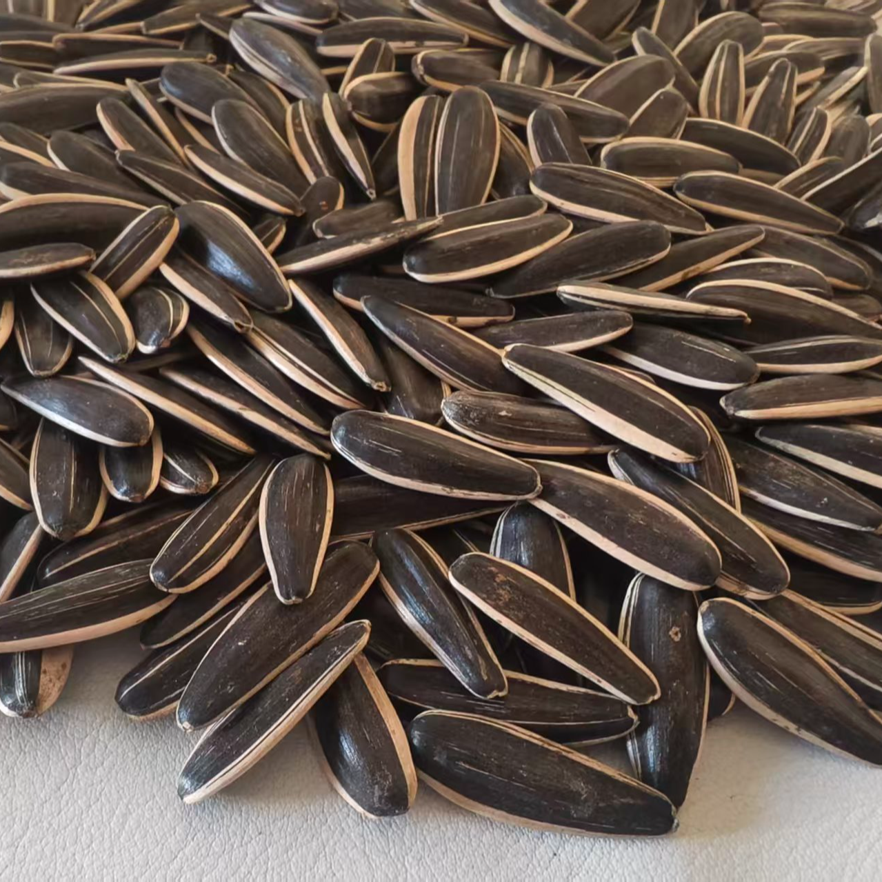 初级农产品内蒙生瓜子，谷丰90