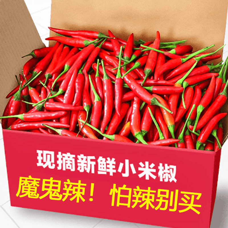 现摘新鲜小米椒朝天椒辣椒青椒特辣红辣椒可剁椒批发泡椒100g-9斤