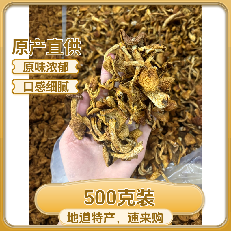 东北嫩滑 滑子菇500克