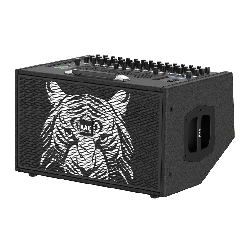 KAE-K8数字无损环绕立体声专业舞台直播音箱