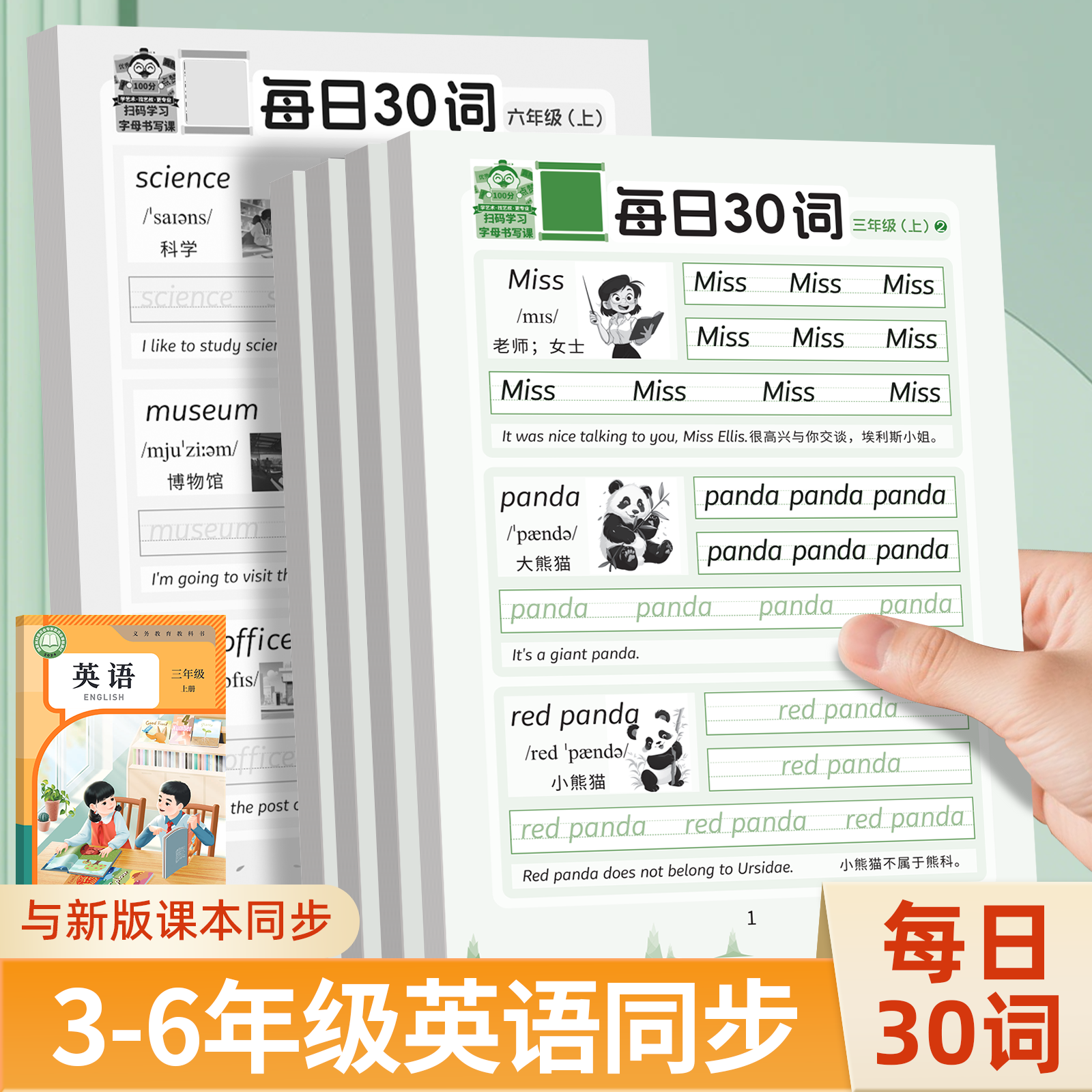每日30词三四五六年级英语单词练字帖人教版同步字帖加厚描红字帖