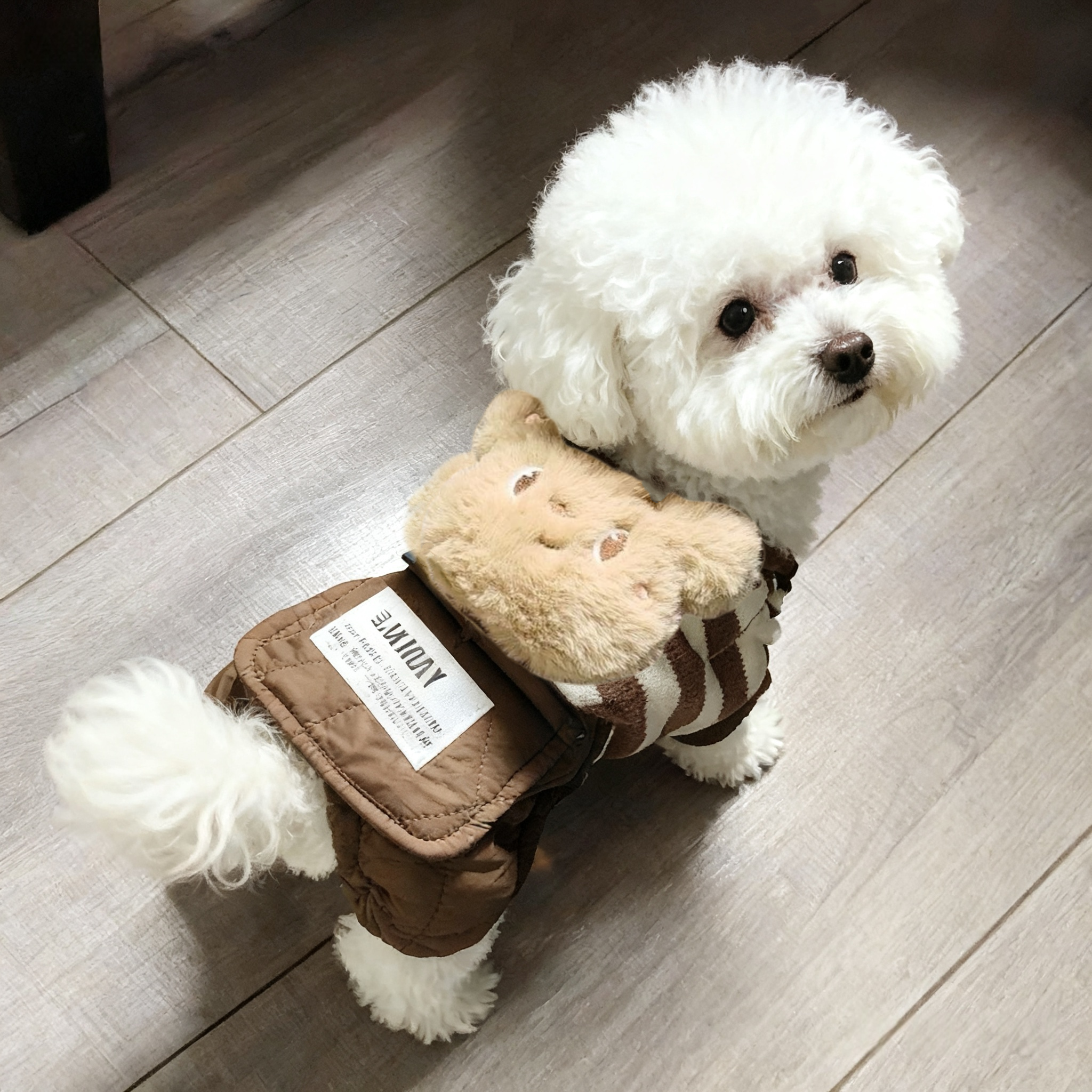 狗狗衣服秋冬厚款大口袋四脚立体卡通背带裤泰迪比熊小型犬四脚衣