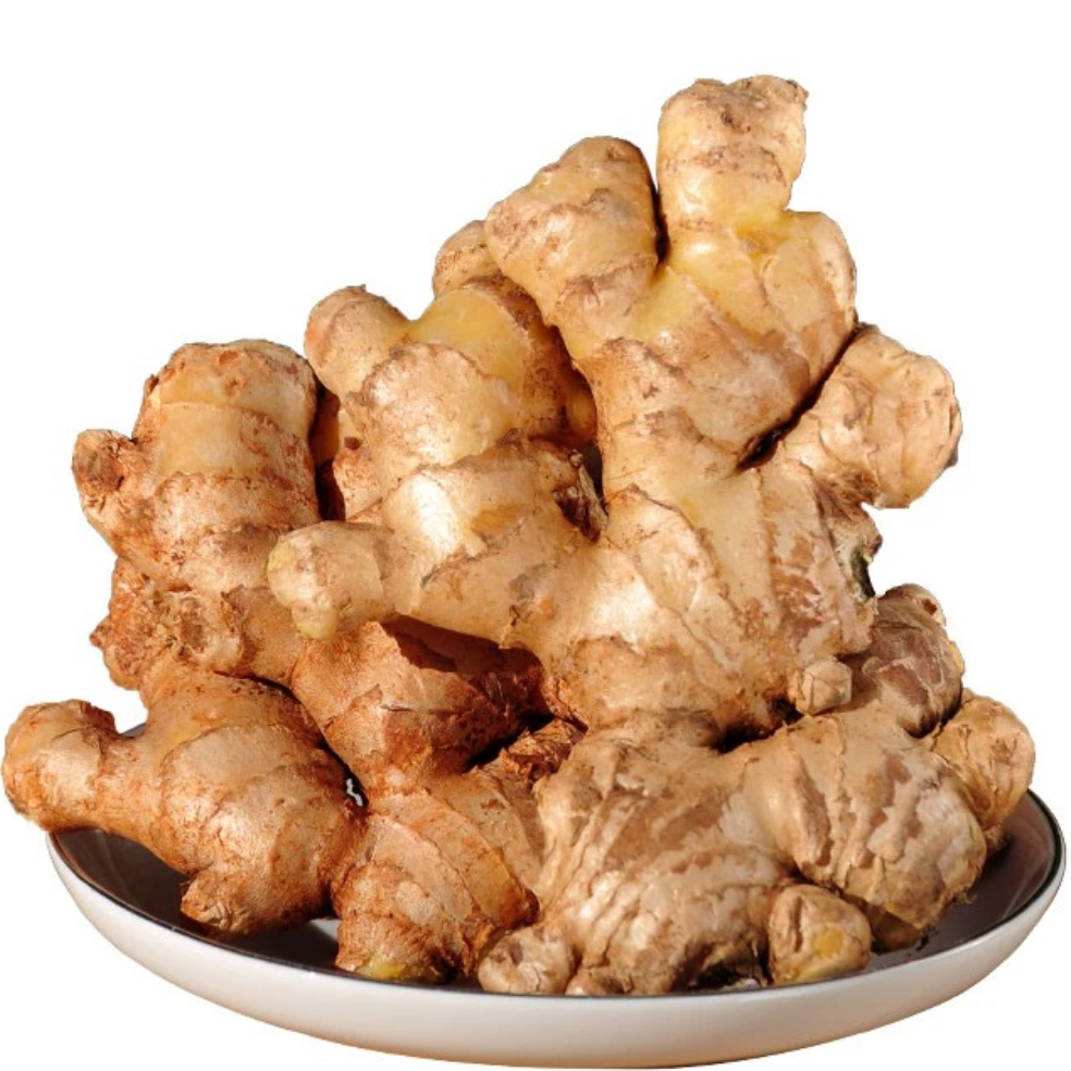 云南高山新鲜现挖中黄姜二黄姜姜味浓郁辛辣十足产地直发