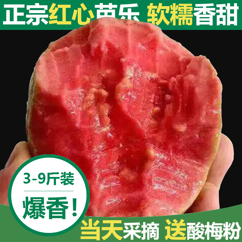 广西新鲜现摘现发红心芭乐软糯应季冰淇淋口感番石榴3斤5斤