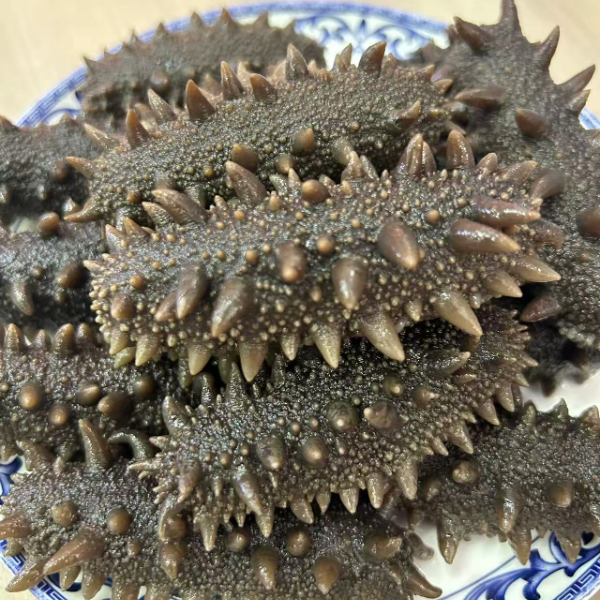 精品海参【散装大规格4-5头 500g/斤】