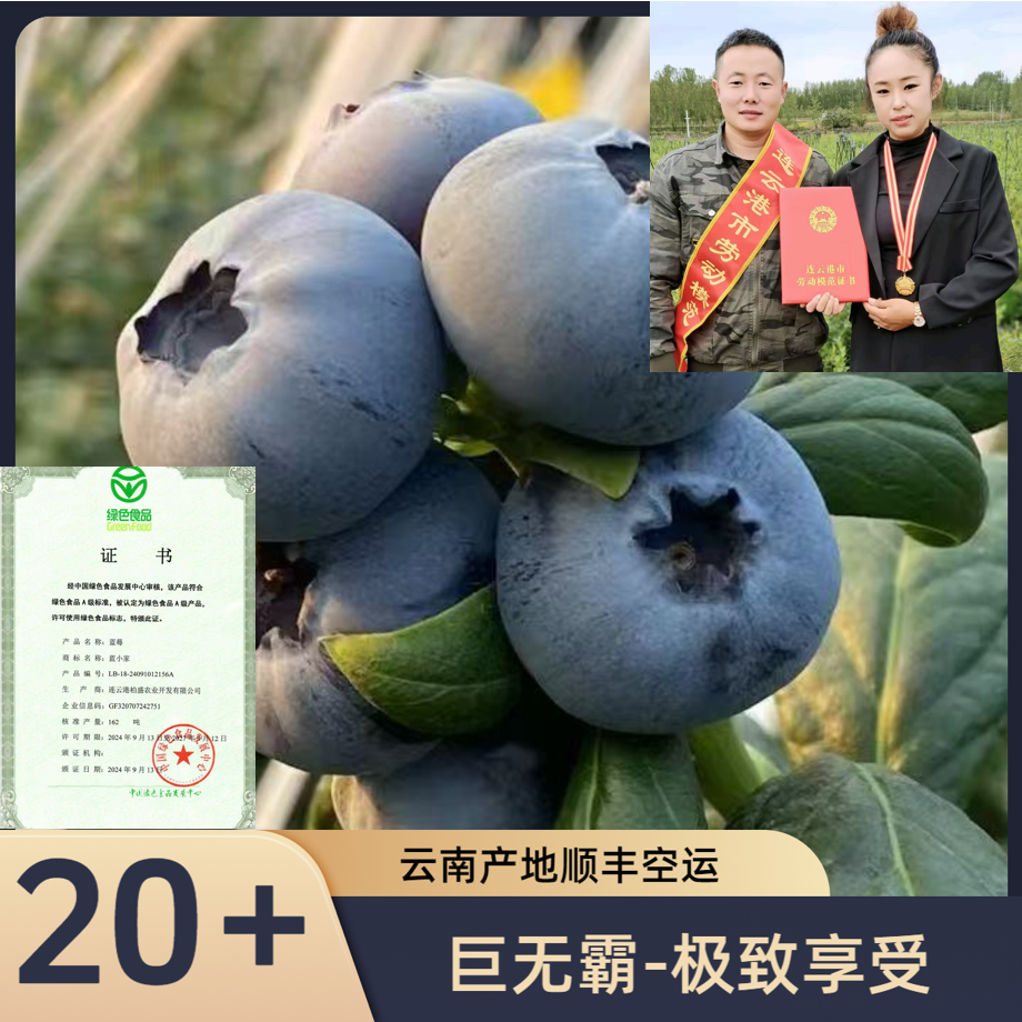 蓝小家【20+mm】云南高山蓝莓产地顺丰空运直发（孕妈宝宝专享）