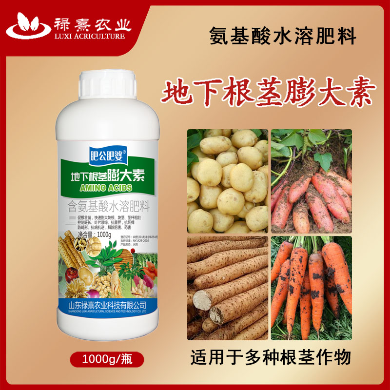 【肥公肥婆】地下根茎块茎膨大剂土豆红薯马铃薯大蒜大姜药作物通用