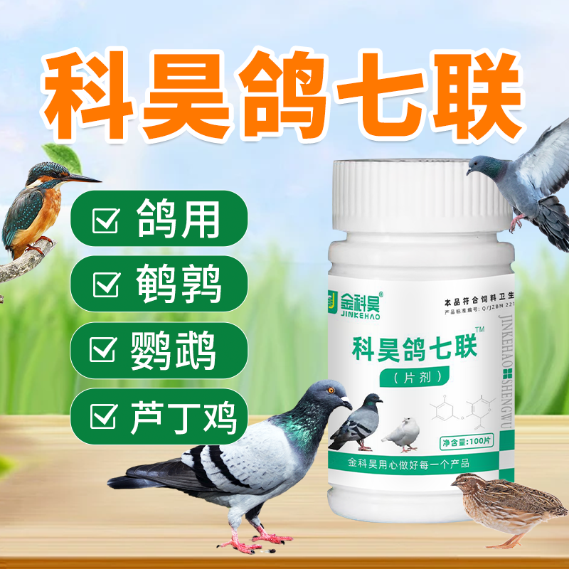 科昊鸽七联赛鸽肉鸽信鸽幼鸽鸽子鸽六联独抗片剂养鸽用饲料添加剂