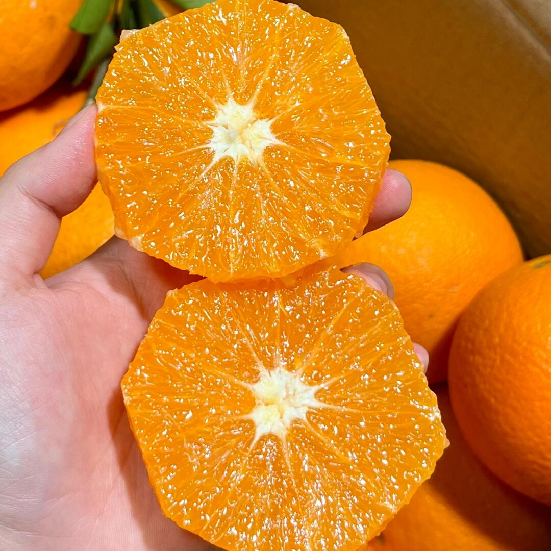 正宗赣南脐橙果园直发，香甜多汁新鲜采摘应季水果