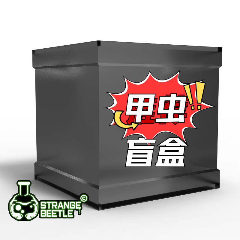 随机锹甲幼虫1只
