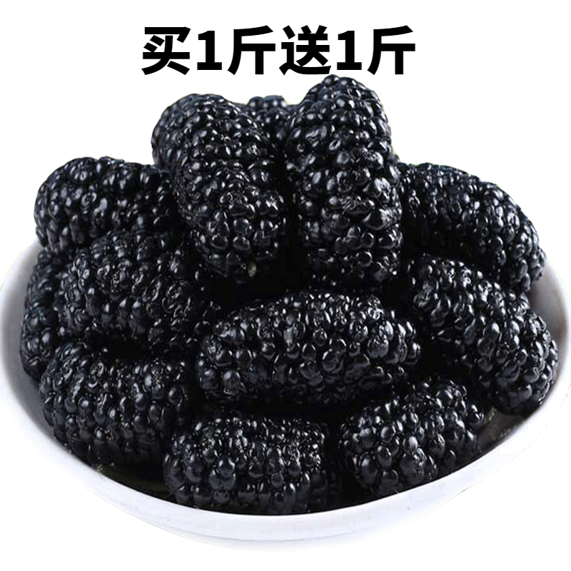 【买1斤送1斤】新疆桑葚干无沙特产桑葚干免洗即食零食泡水头茬干净